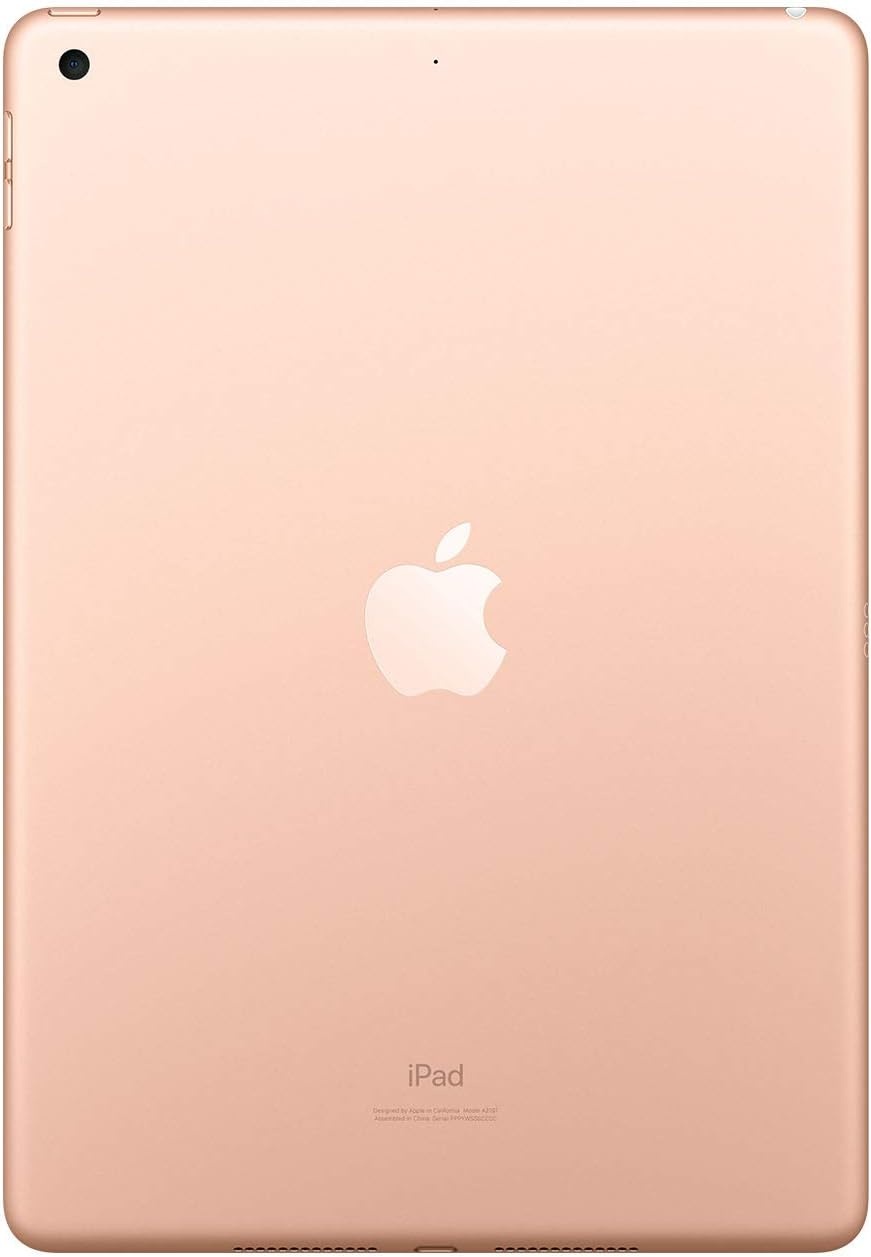 Apple 10.2