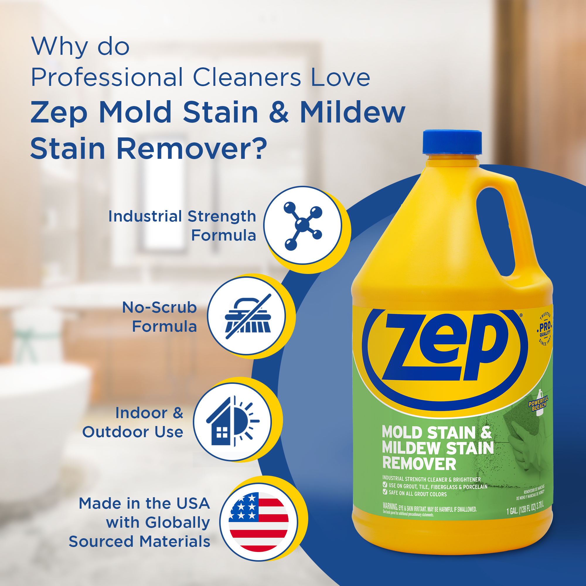 Zep Mold Stain and Mildew Stain Remover ZUMILDEW128