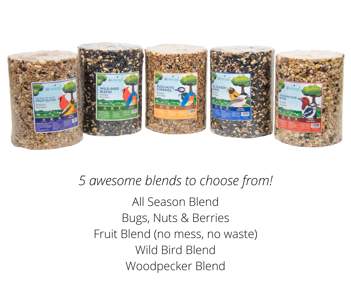 JCS Wildlife All Season Blend Premium Bird Seed Large Cylinder, 4.5 lb - Bild 10 von 28
