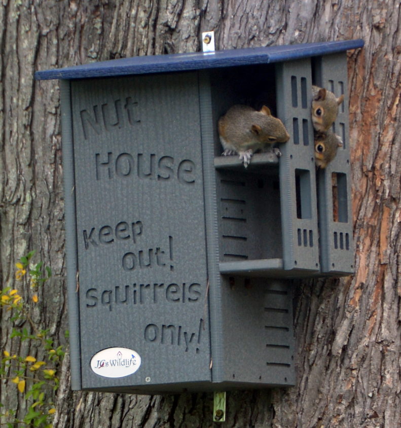 JCs Wildlife Blue & Gray Ultimate Squirrel House Nesting Box - A Perfect