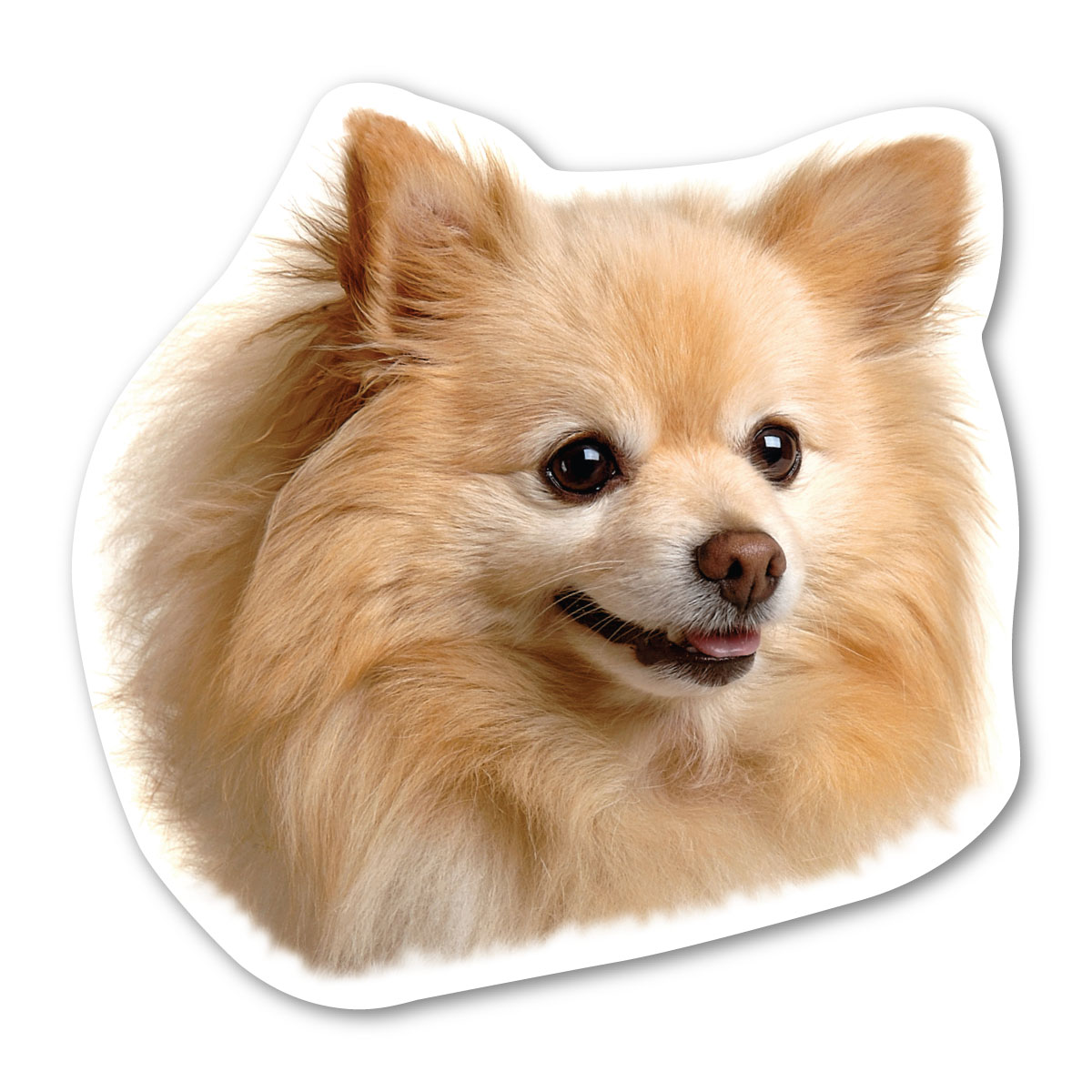 Responsive image