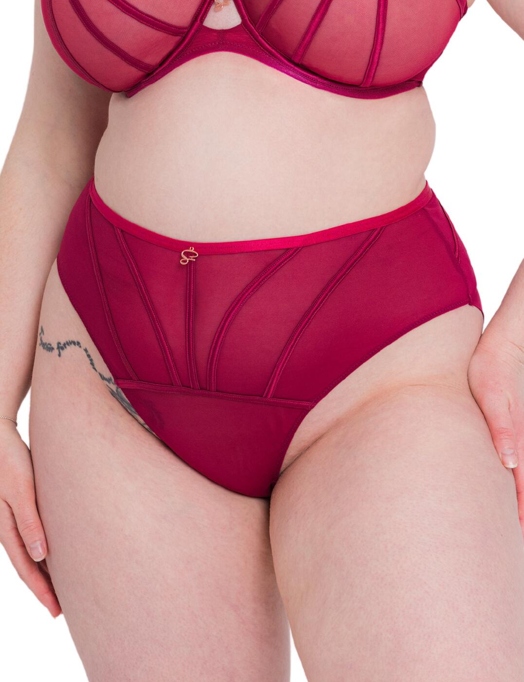 Scantilly by Curvy Kate Senses Brief High Waisted Womens Lingerie ST027208