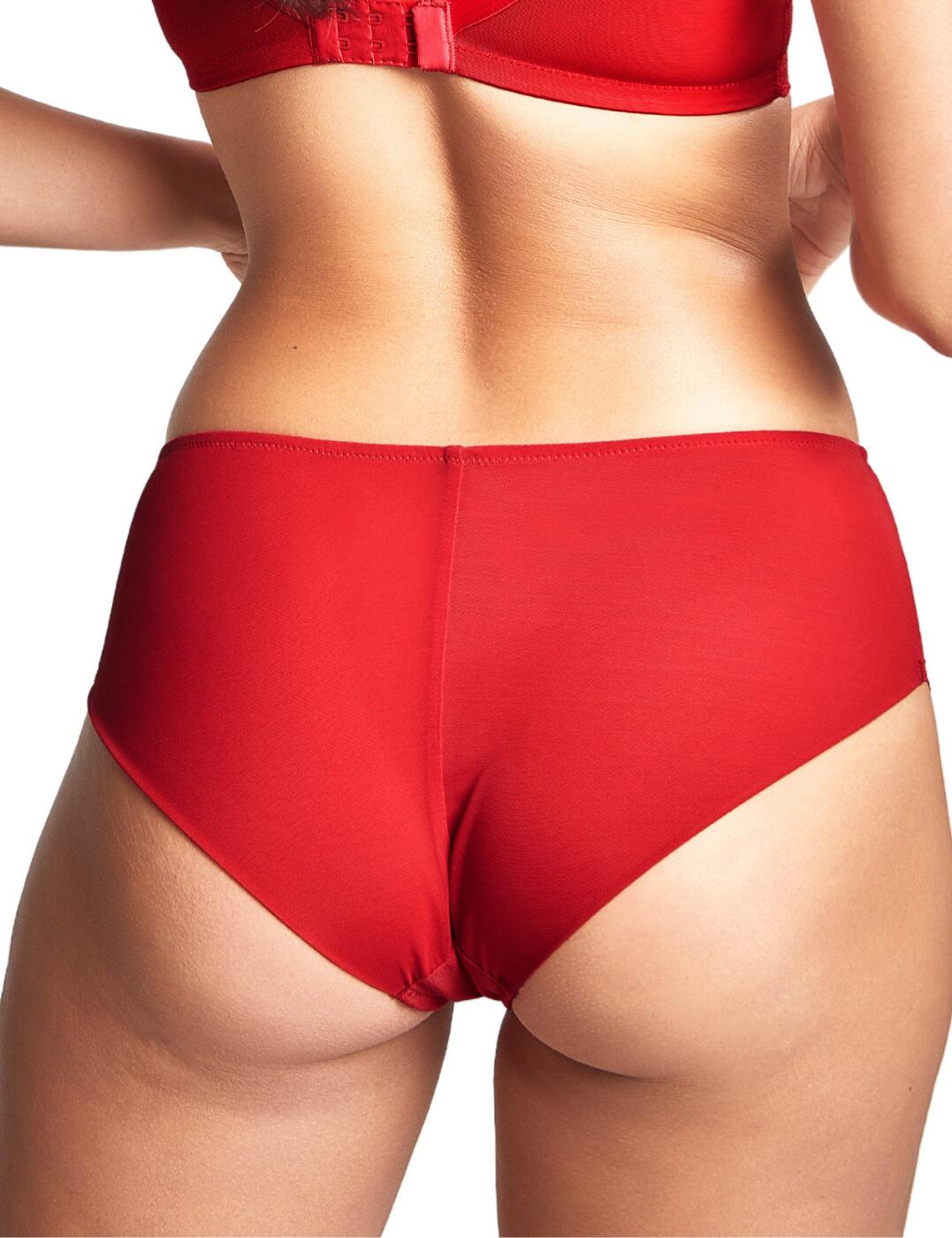 Panache Ana Brief Semi Sheer Stretch Comfortable Everyday Womens Knickers 9395 - Picture 7 of 19
