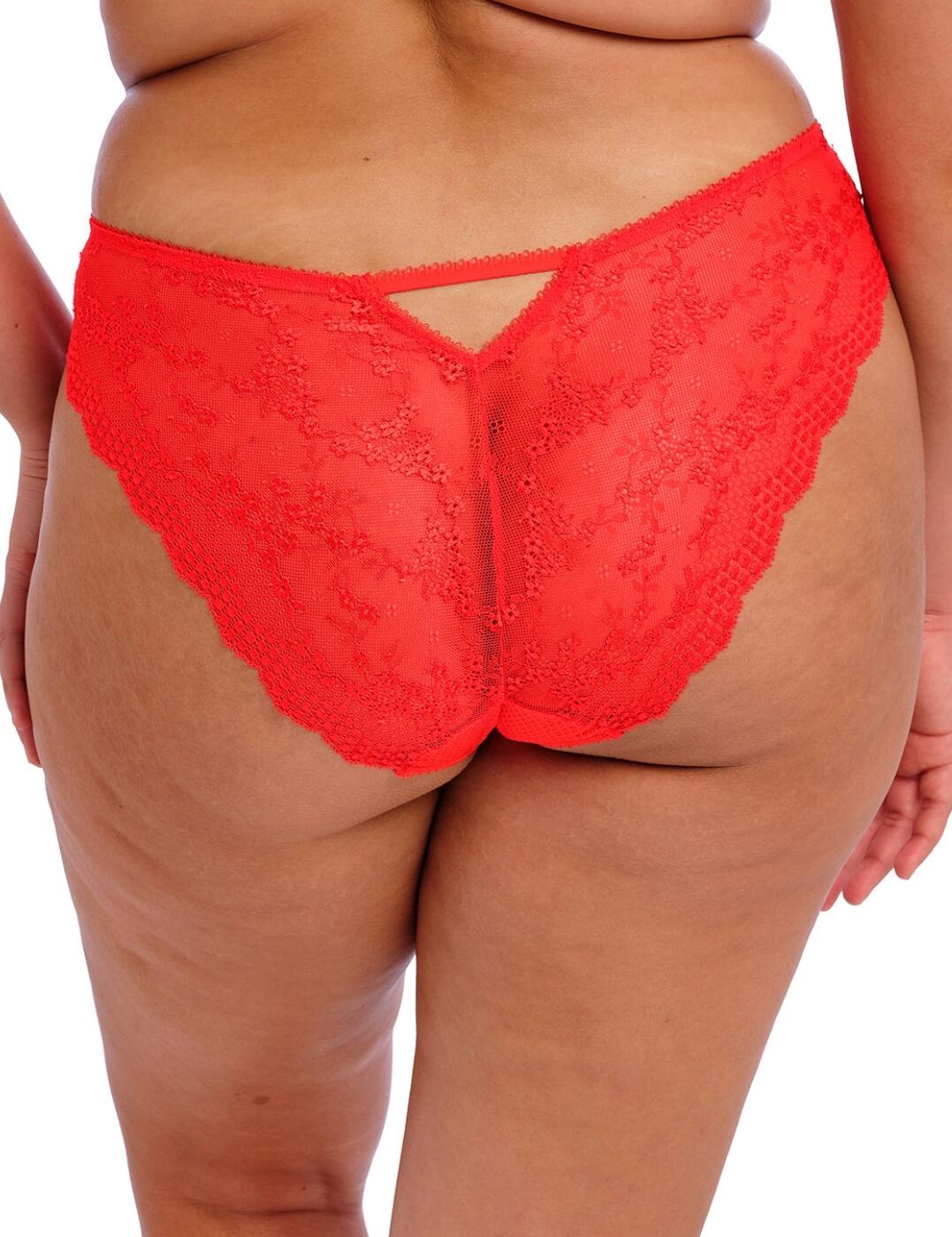 Elomi Charley Brief Brazilian Lace Knickers Womens Full Figure Lingerie 4385 - Picture 23 of 33