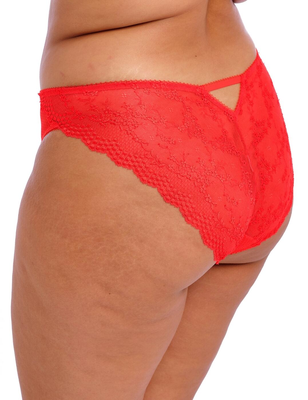 Elomi Charley Brief Brazilian Lace Knickers Womens Full Figure Lingerie 4385 - Picture 24 of 33