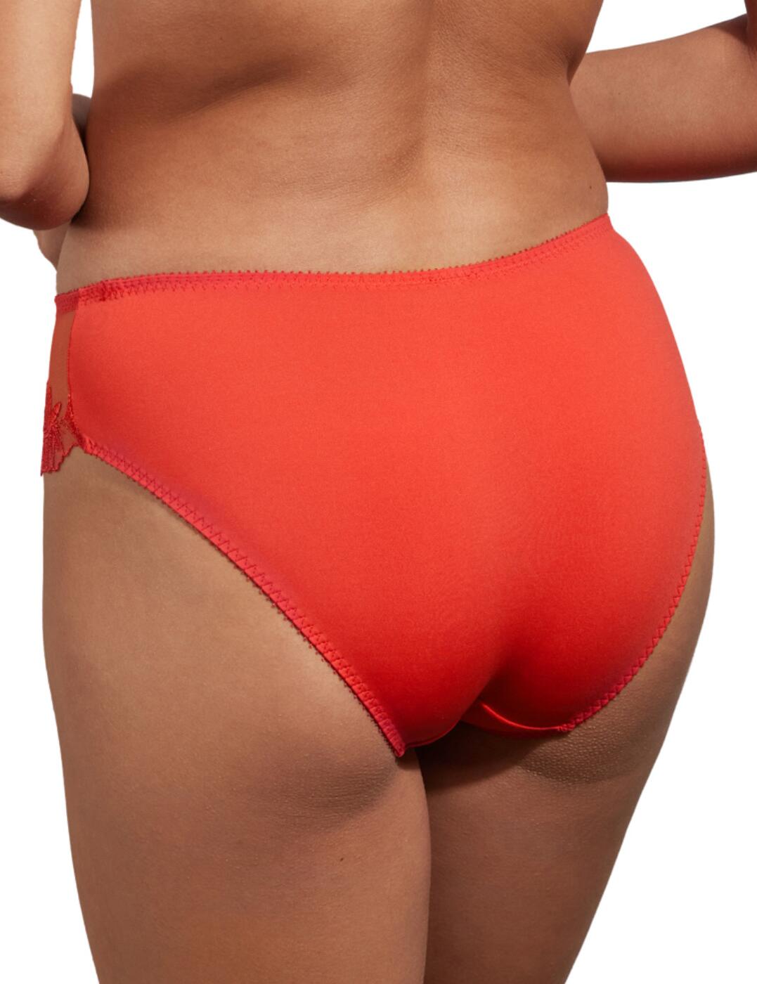 Empreinte Anouk Brief Embroidered Mid Rise Knickers Womens Luxury Lingerie 05223 - Picture 3 of 16