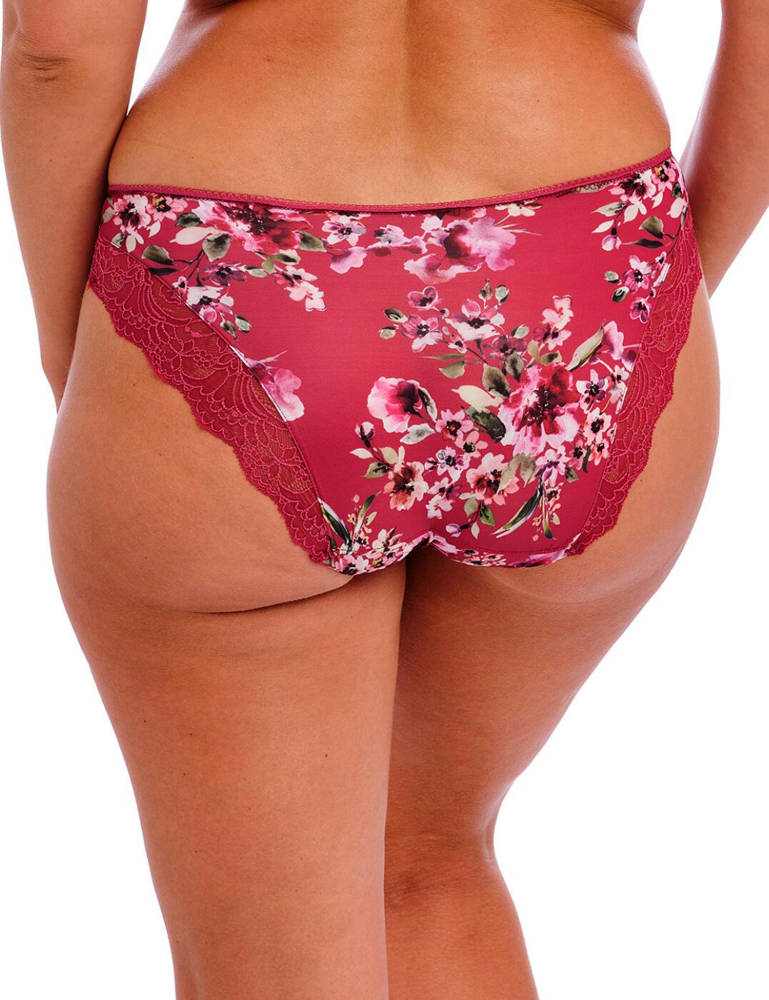 Fantasie Lucia Brief Mid Rise Womens Everyday Elegant Lace Lingerie 101550 - Picture 8 of 31