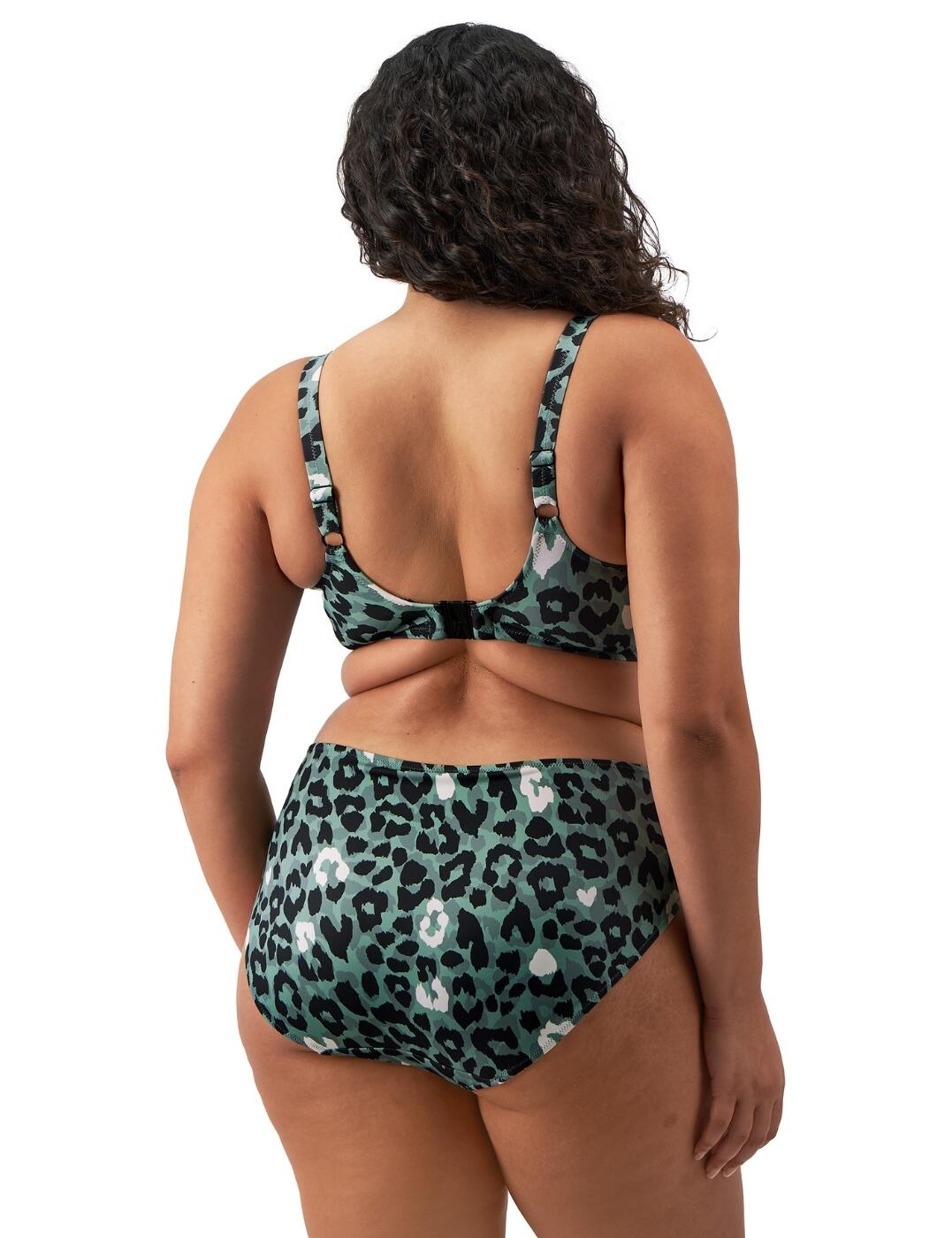 802072 Elomi Jungle Bay Mid Rise Bikini Brief - Picture 42 of 42