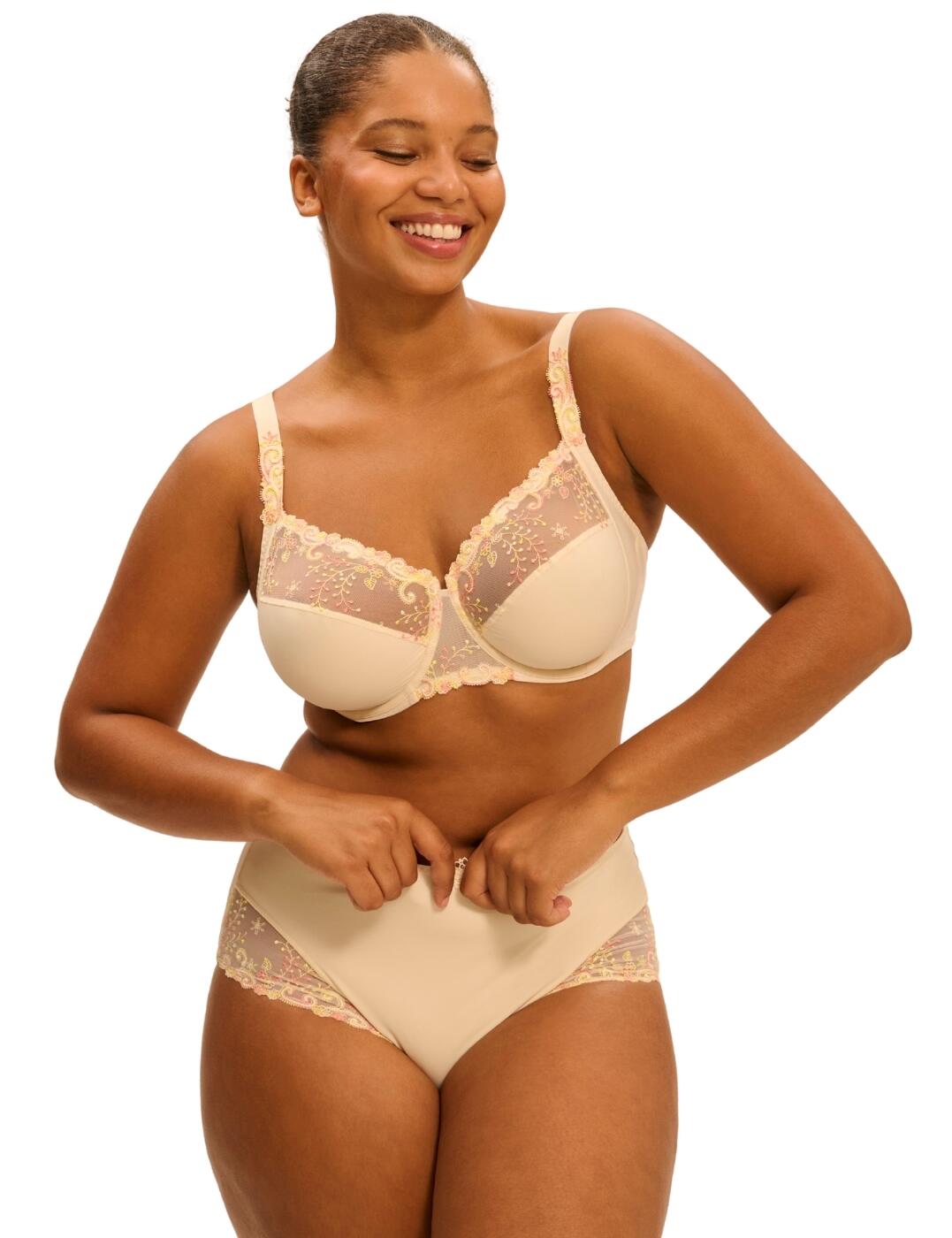 Simone Perele Delice Brief High Waisted Embroidered Luxury Knickers 12X770 - Picture 28 of 38