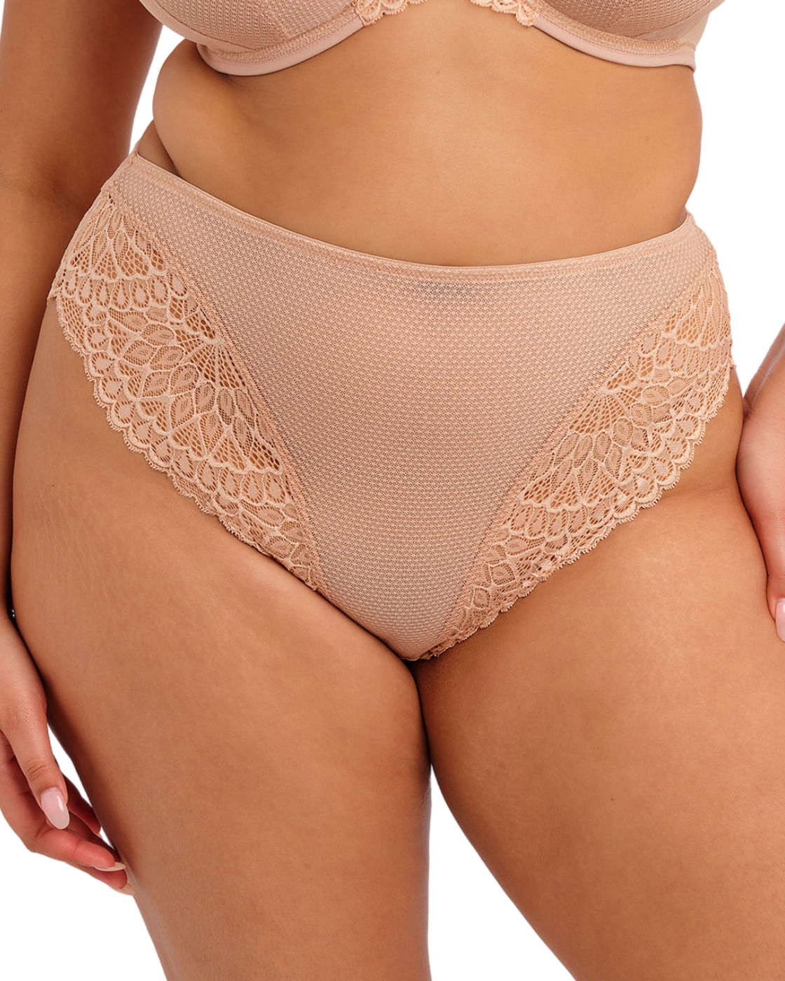 Elomi Tiernie Brief High Rise High Leg Womens Stretch Lace Knickers EL303350