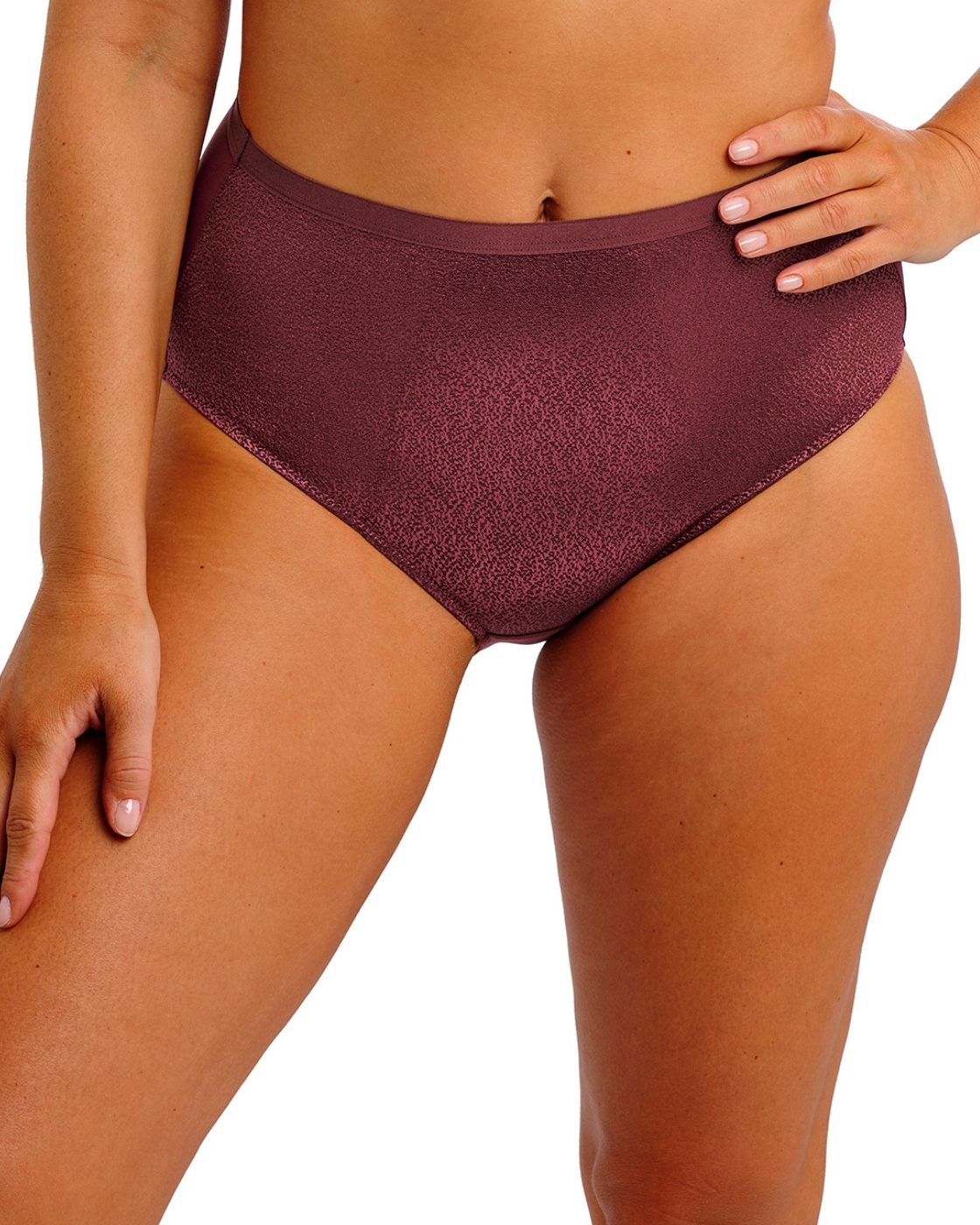 Fantasie Demure Brief Full Coverage Womens Comfortable Lingerie 103251