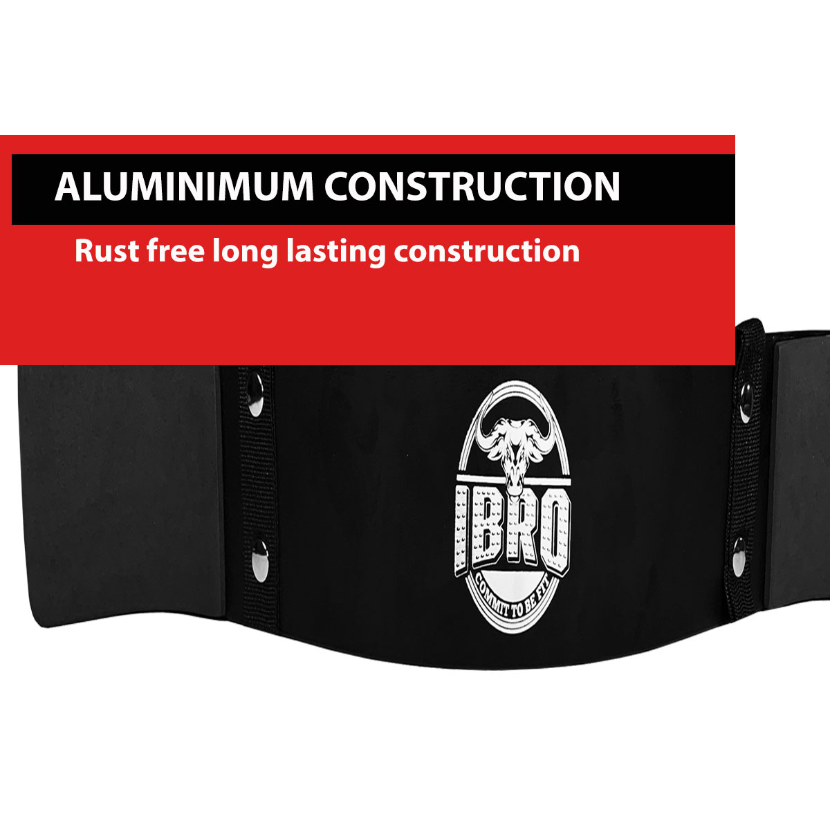 IBRO Curl Bar Arm Blaster for Biceps Triceps Forearms | Preacher Isolator Curls - Picture 14 of 34
