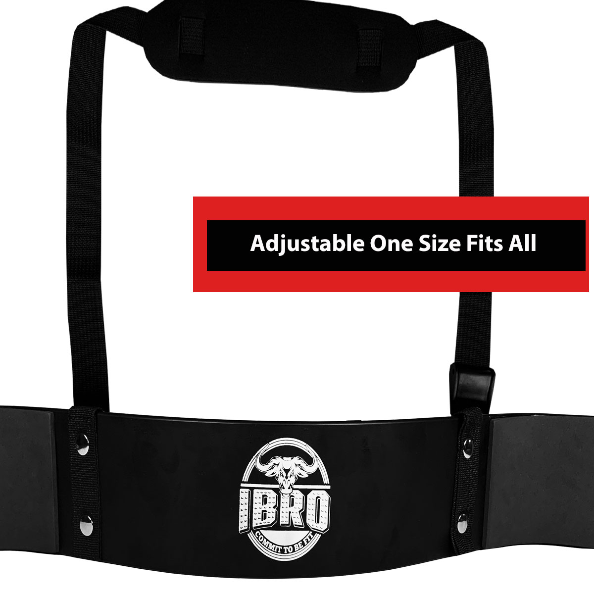 IBRO Curl Bar Arm Blaster for Biceps Triceps Forearms | Preacher Isolator Curls - Picture 12 of 34