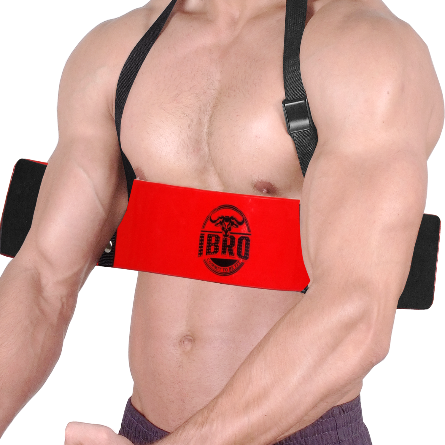 IBRO Curl Bar Arm Blaster for Biceps Triceps Forearms | Preacher Isolator Curls - Picture 28 of 34
