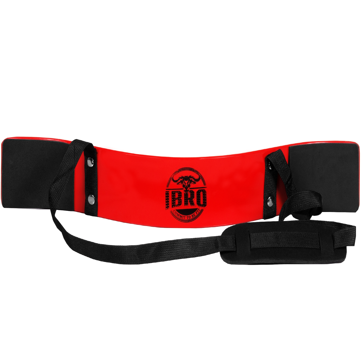 IBRO Curl Bar Arm Blaster for Biceps Triceps Forearms | Preacher Isolator Curls - Picture 30 of 34