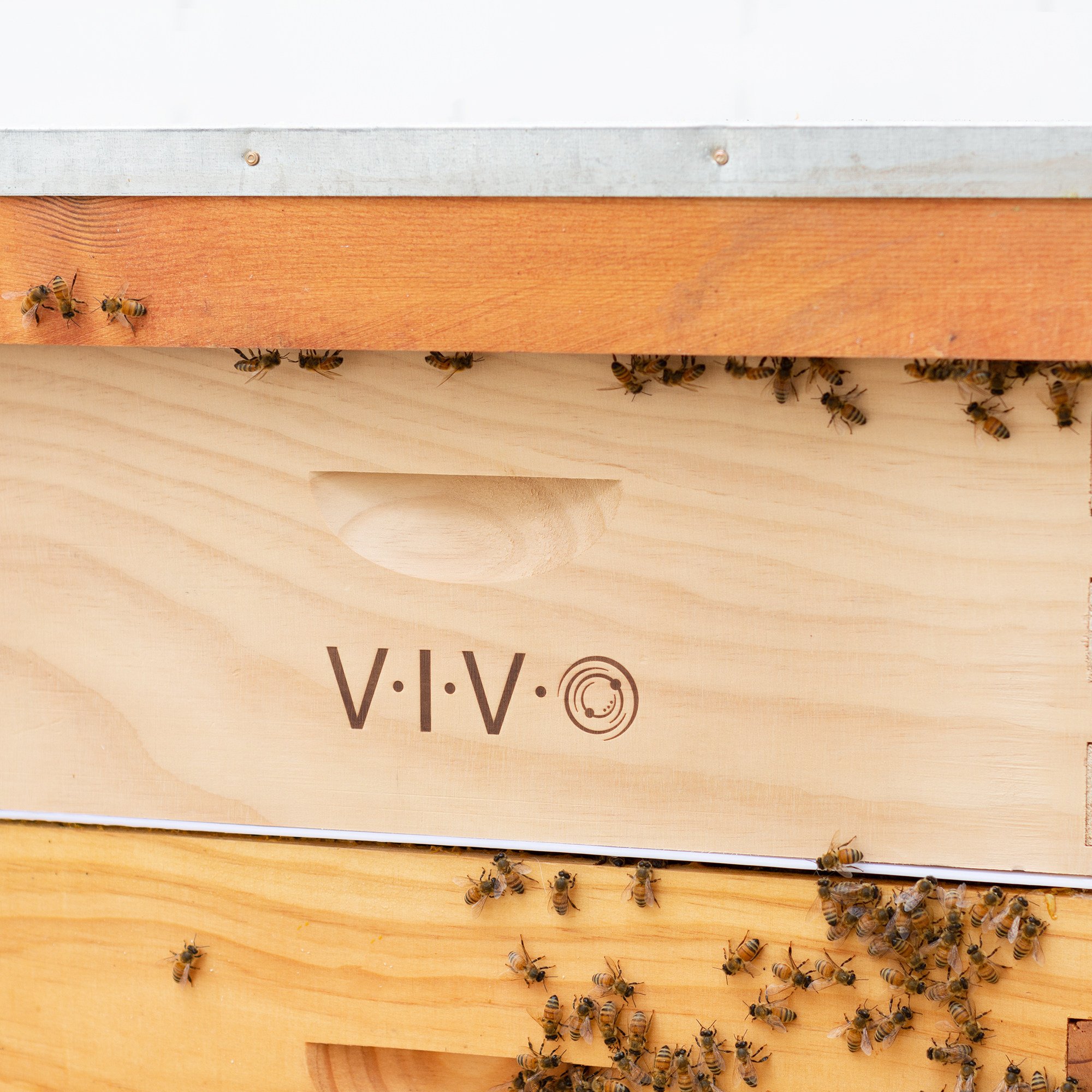 BEE-HV02 Complete Beekeeping 10 Frame Add-on Shallow Super Beehive Box