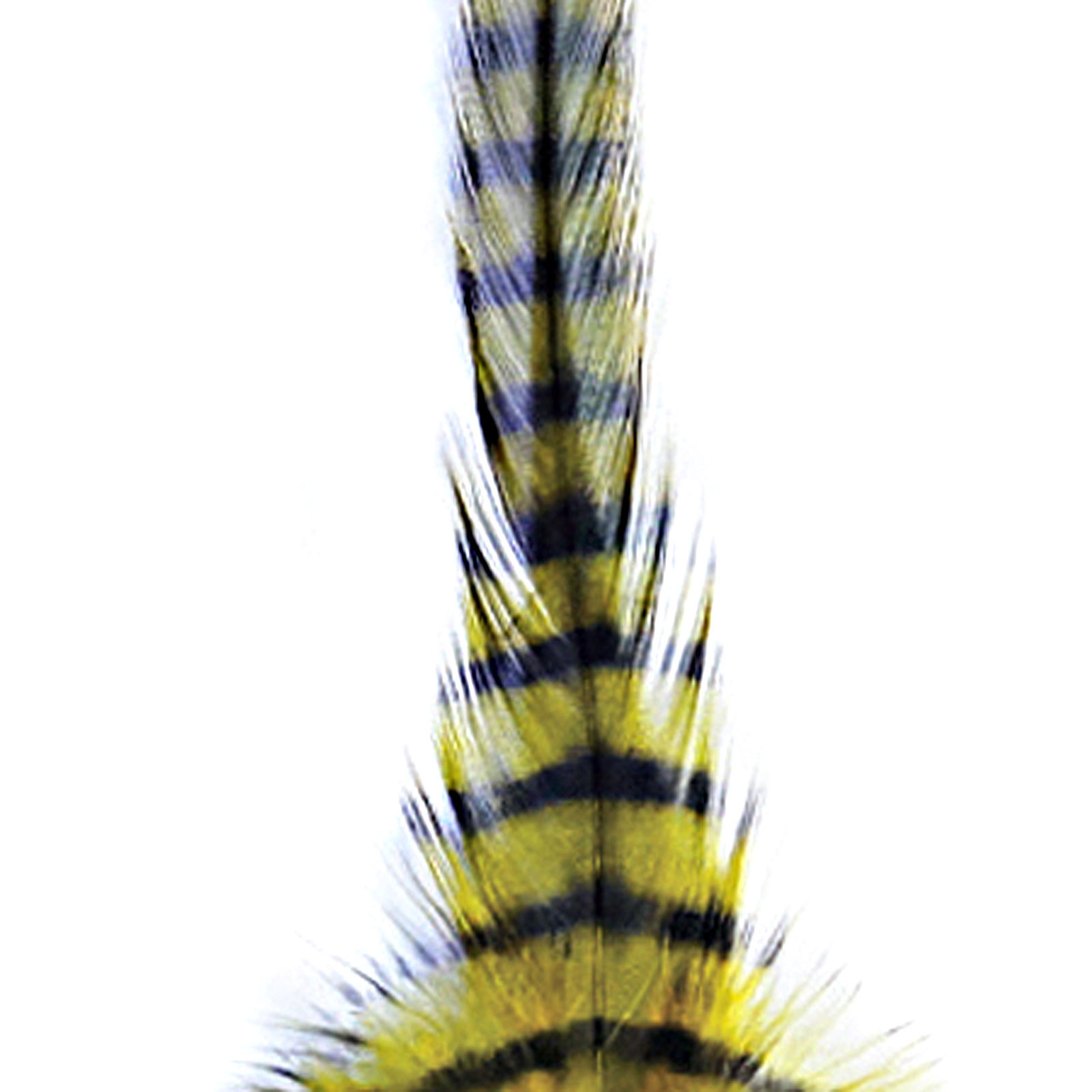 MFC Barred Saddle Hackle - All Colors - Picture 5 of 12