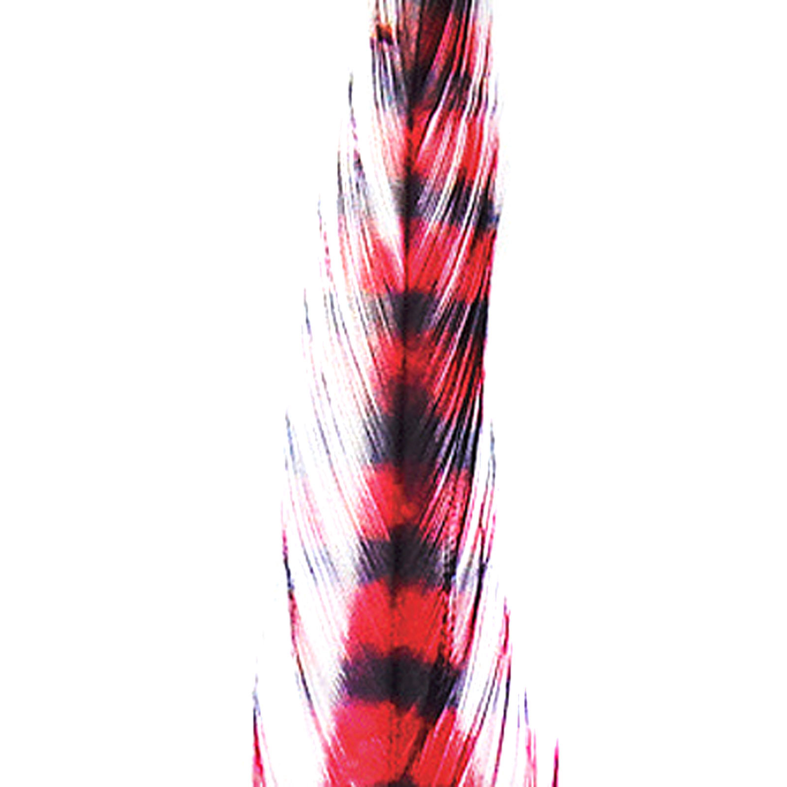 MFC Barred Saddle Hackle - All Colors - Picture 8 of 12