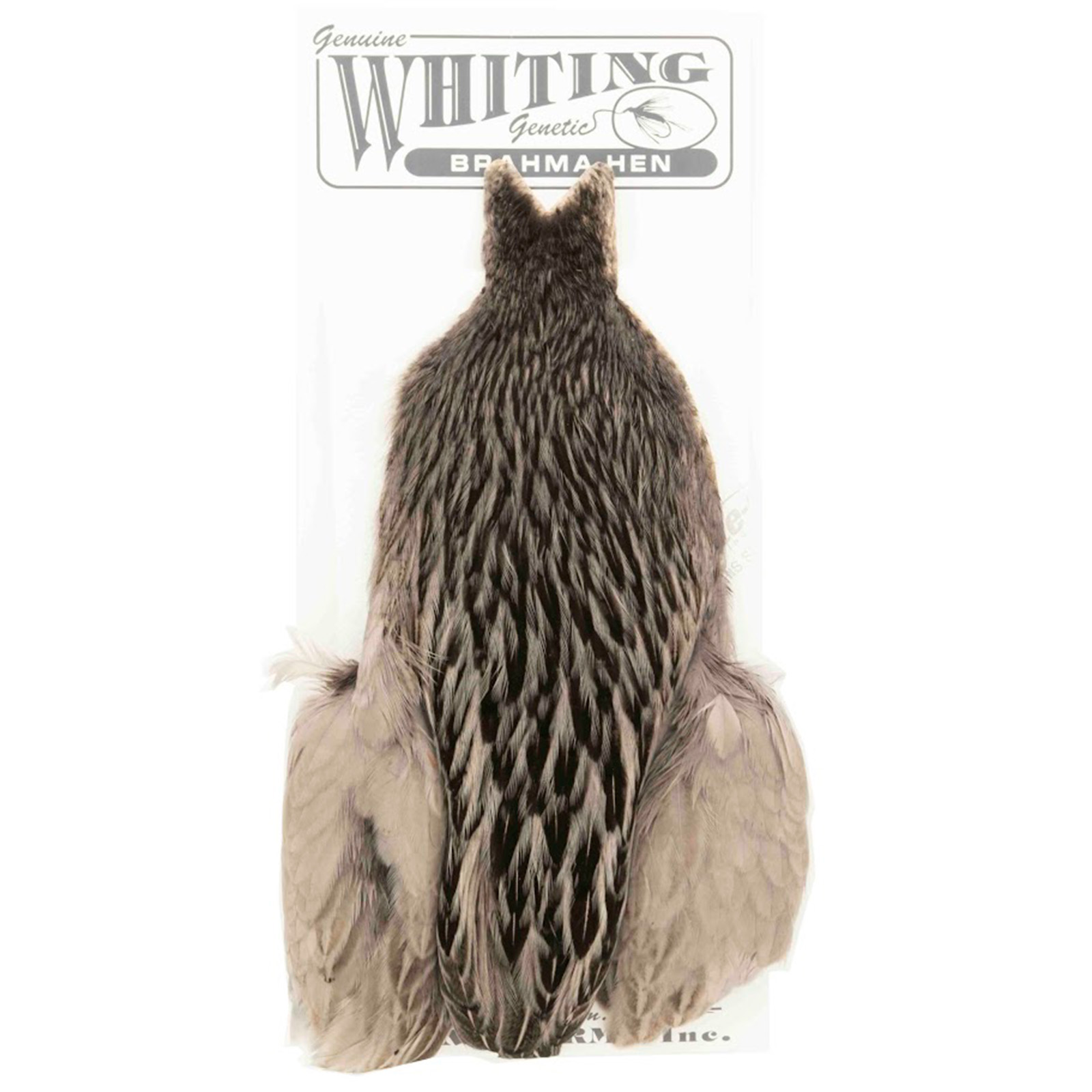 Whiting Brahma Hen Cape Badger Dyed Golden Brown Fly Tying for