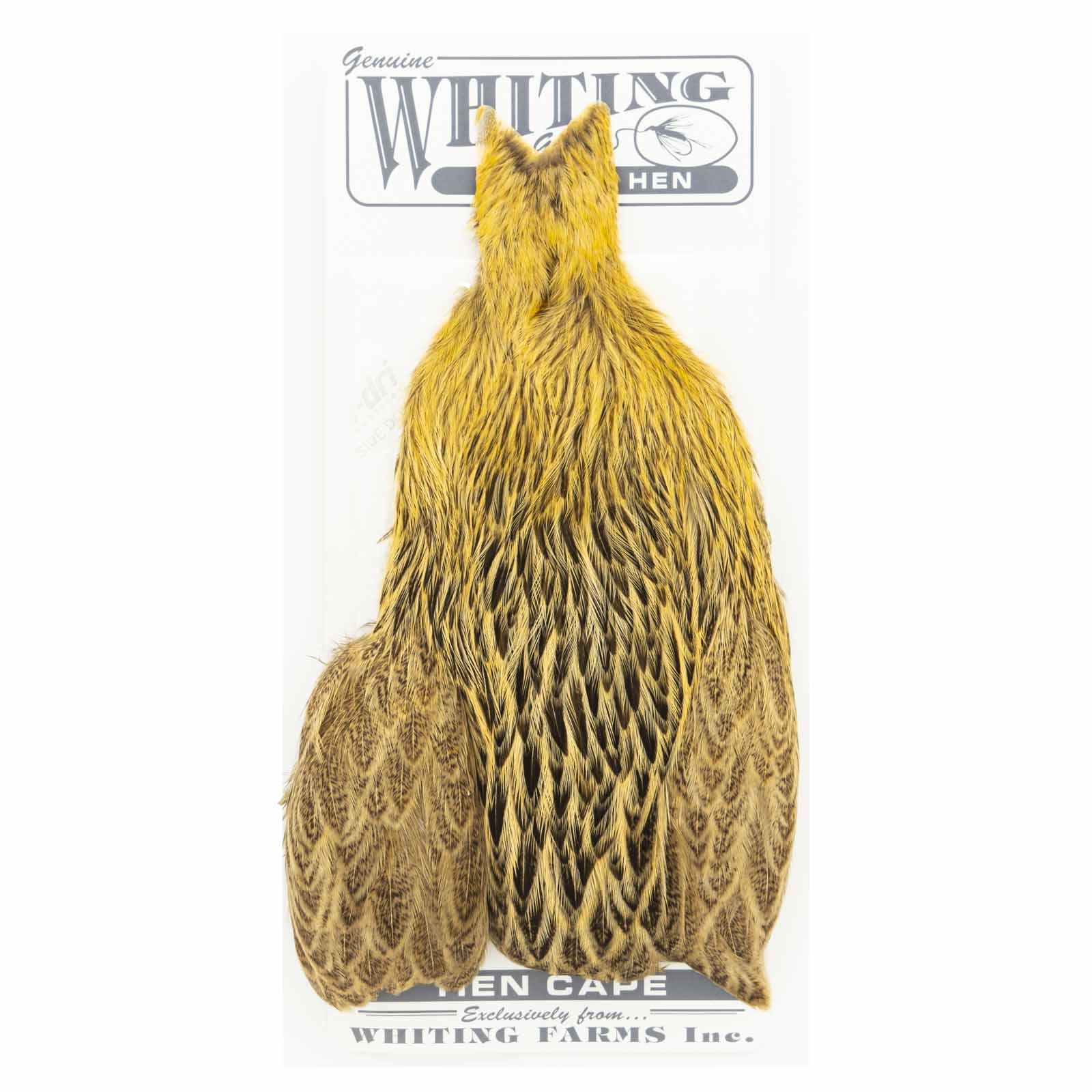 Whiting Brahma Hen Cape Badger Dyed Golden Brown Fly Tying for