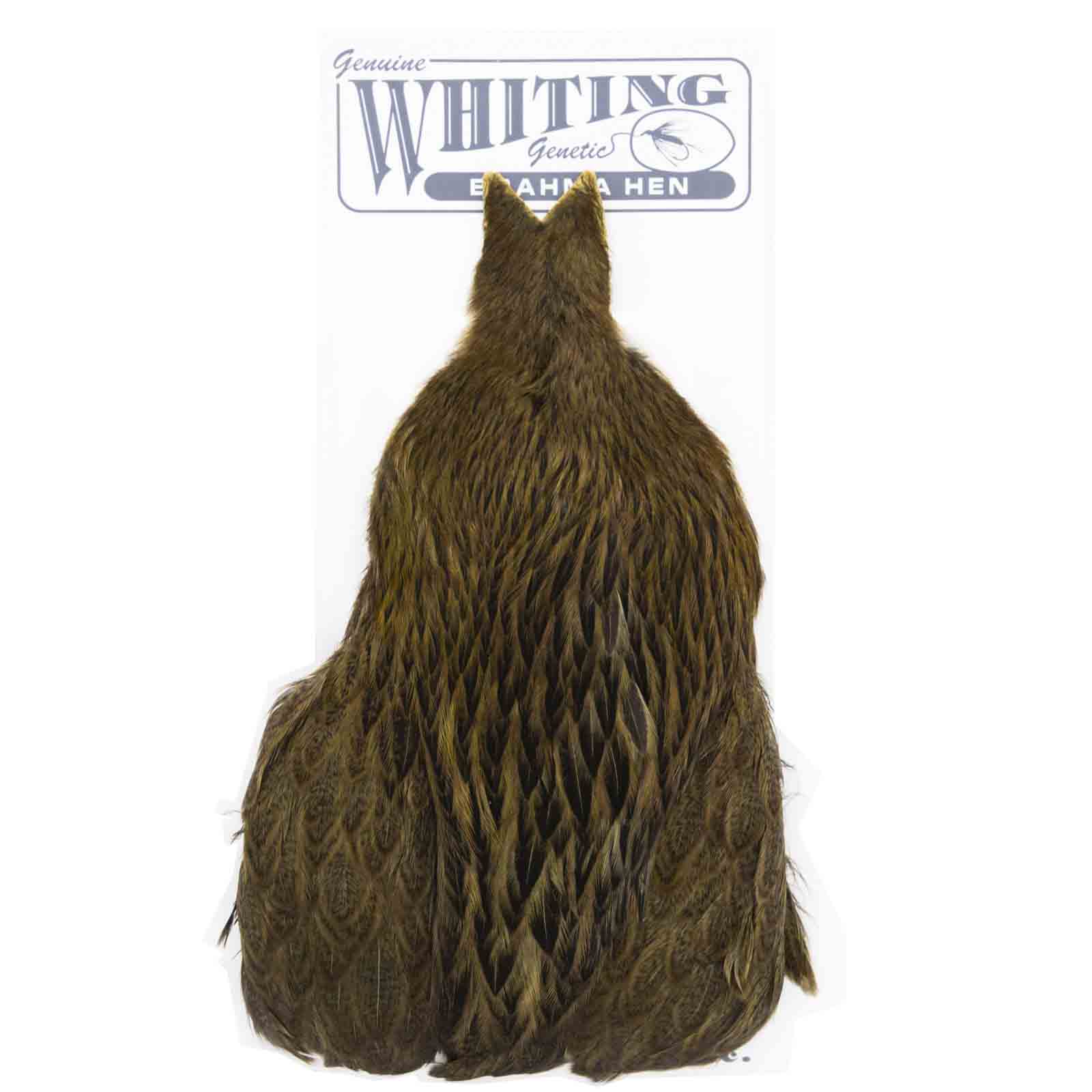 Whiting Brahma Hen Cape Badger Dyed Golden Brown Fly Tying for