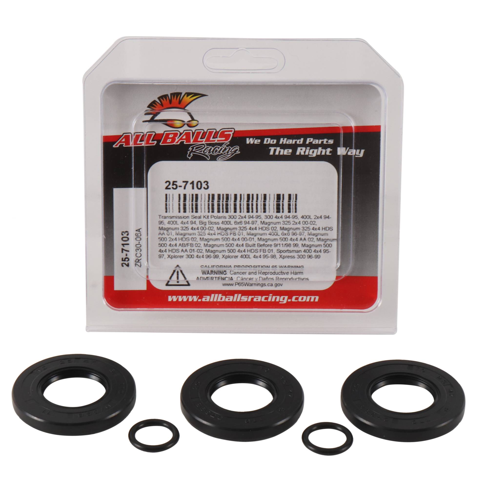 New All Balls Transmission seal kit (25-7103) for Polaris