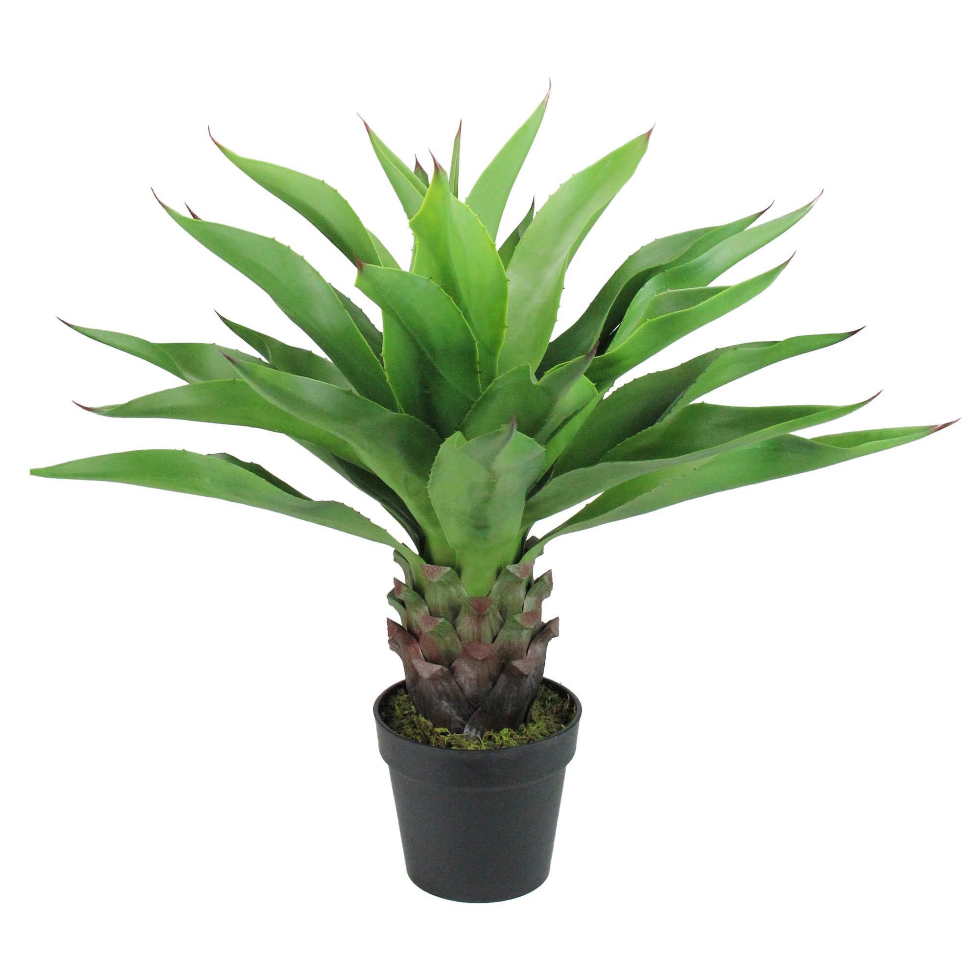 Northlight 30.5" Potted Green Artificial Agave Americana Succulent