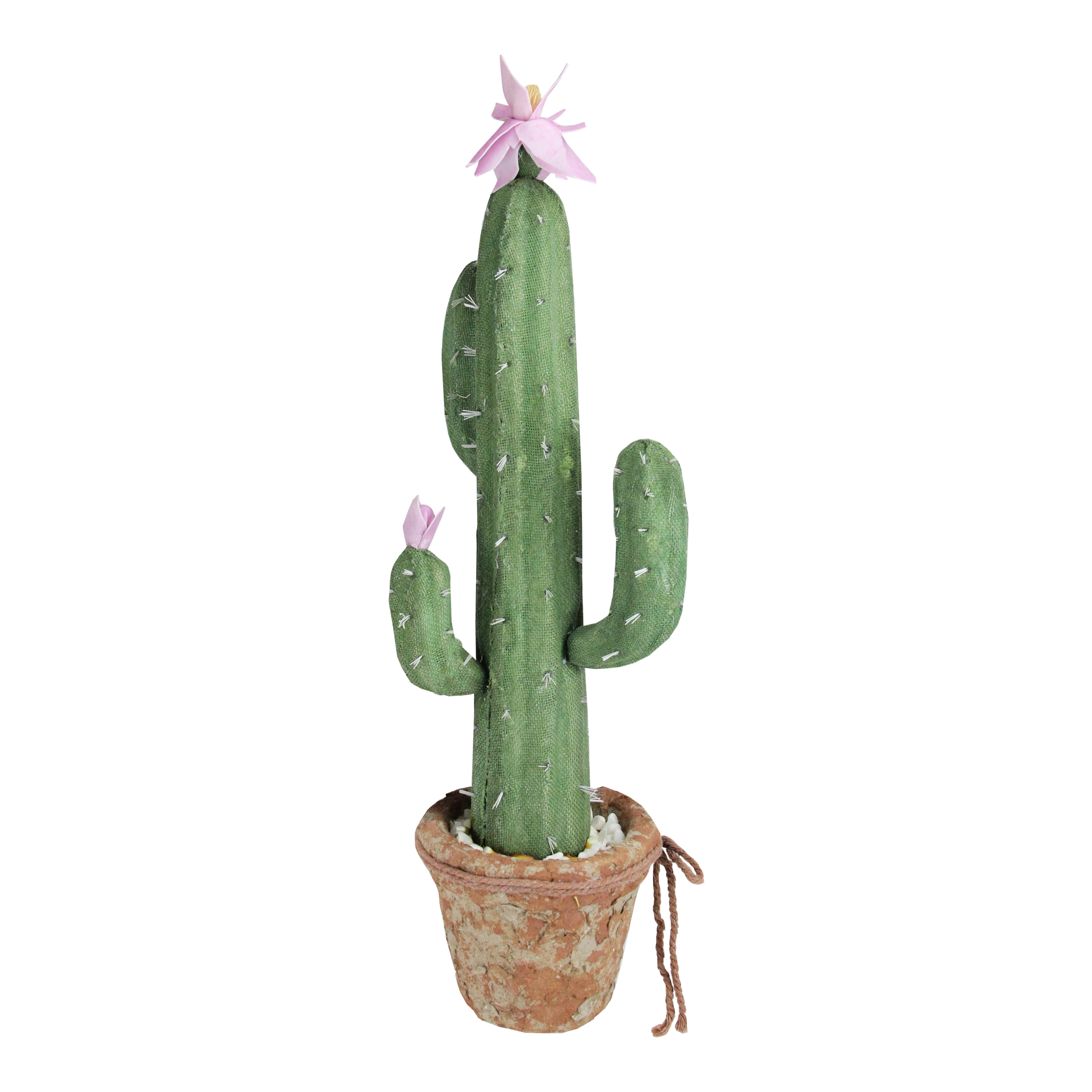 Northlight 21.5&quot; Southwestern Style Green Potted