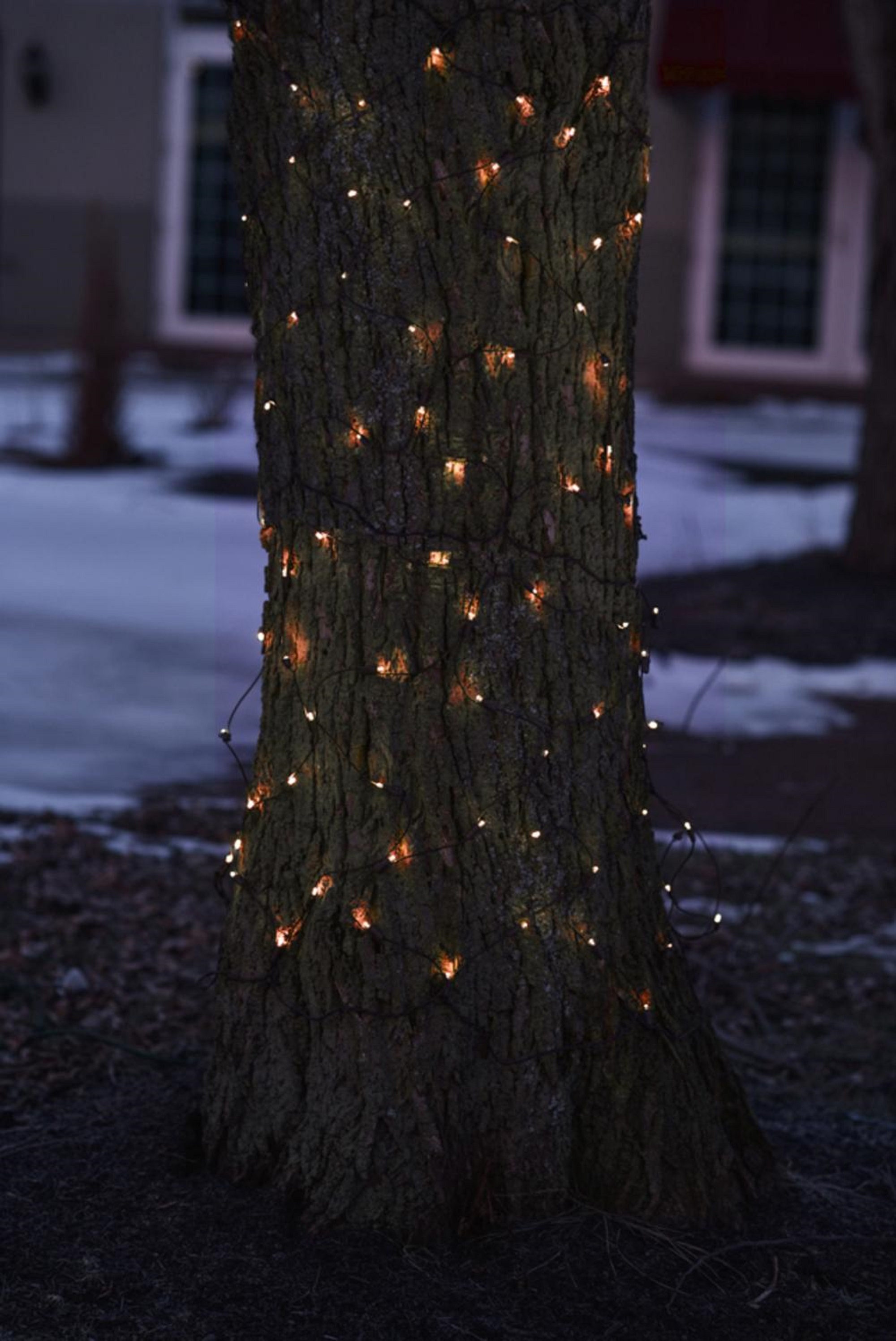 Northlight 2' x 8' Orange LED Tree Trunk Wrap Christmas Lights Brown