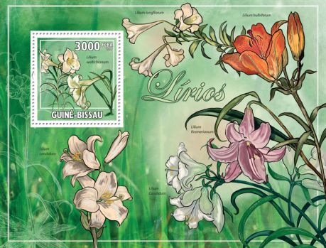 Guinea-Bissau - Lily Flowers - Stamp S/S - GB9614b | eBay