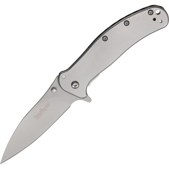 Kershaw 1730SS Zing SS Assisted Framelock 3" Folding Pocket Knife eBay