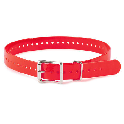 Sportdog collar red light Clearance