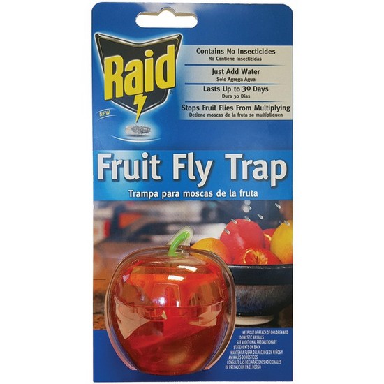 Raid FFTA Discreet Food Lure Pesticide Free Fruit Fly Trap eBay