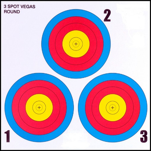 Archery essay titles picture