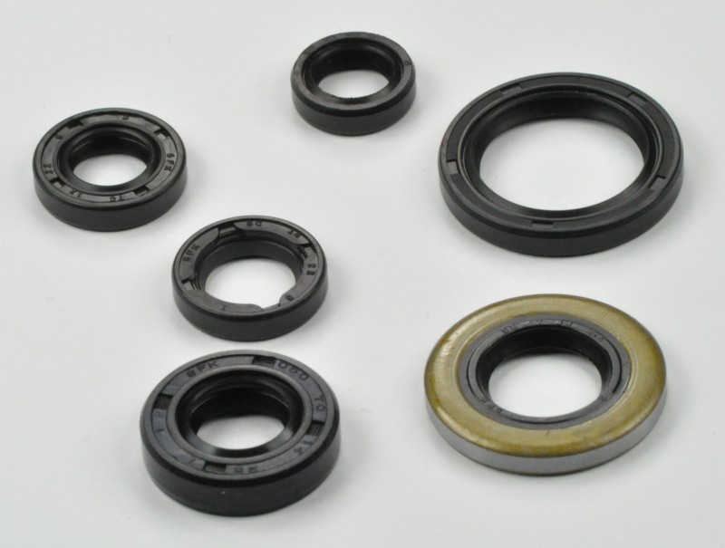 Honda TRX400EX TRX 400 EX 400EX Engine Oil Seal Kit 1999-2004