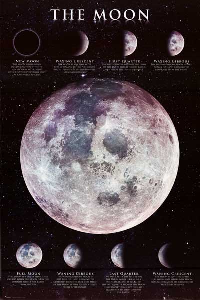 the moon phases of the moon lunar phases 24x36 poster