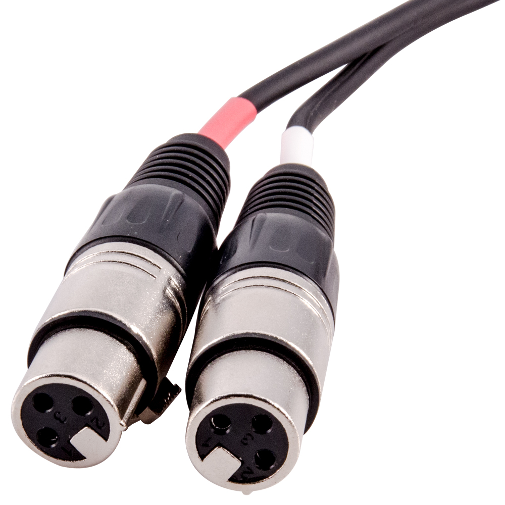 3 Foot 2 XLR Female to 2 RCA Male Patch Cable Dual XLRF to Dual RCA