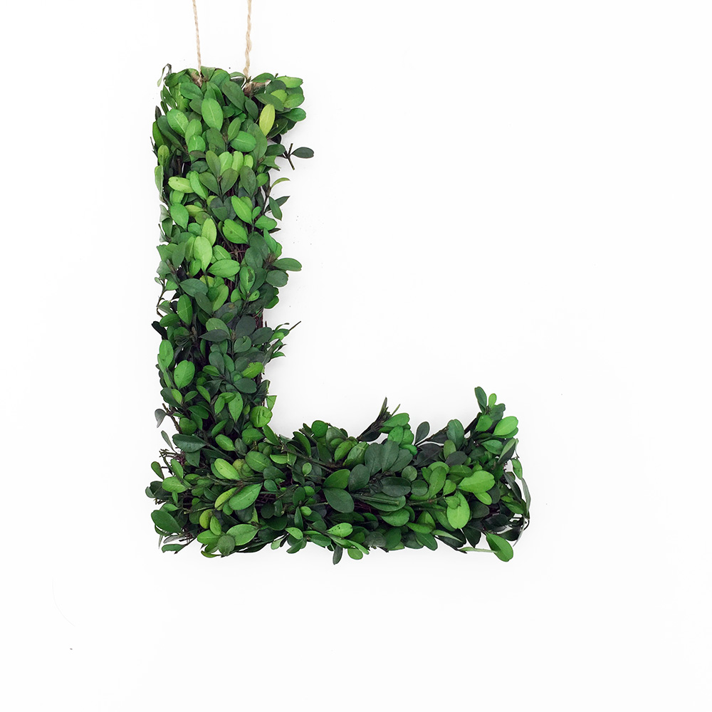 LETRAS MONOGRAMA DECORATIVAS DE BOJ CONSERVADAS REALES 12" - DECORACIÓN CORONA PUERTA DELANTERA - Imagen 22 de 30