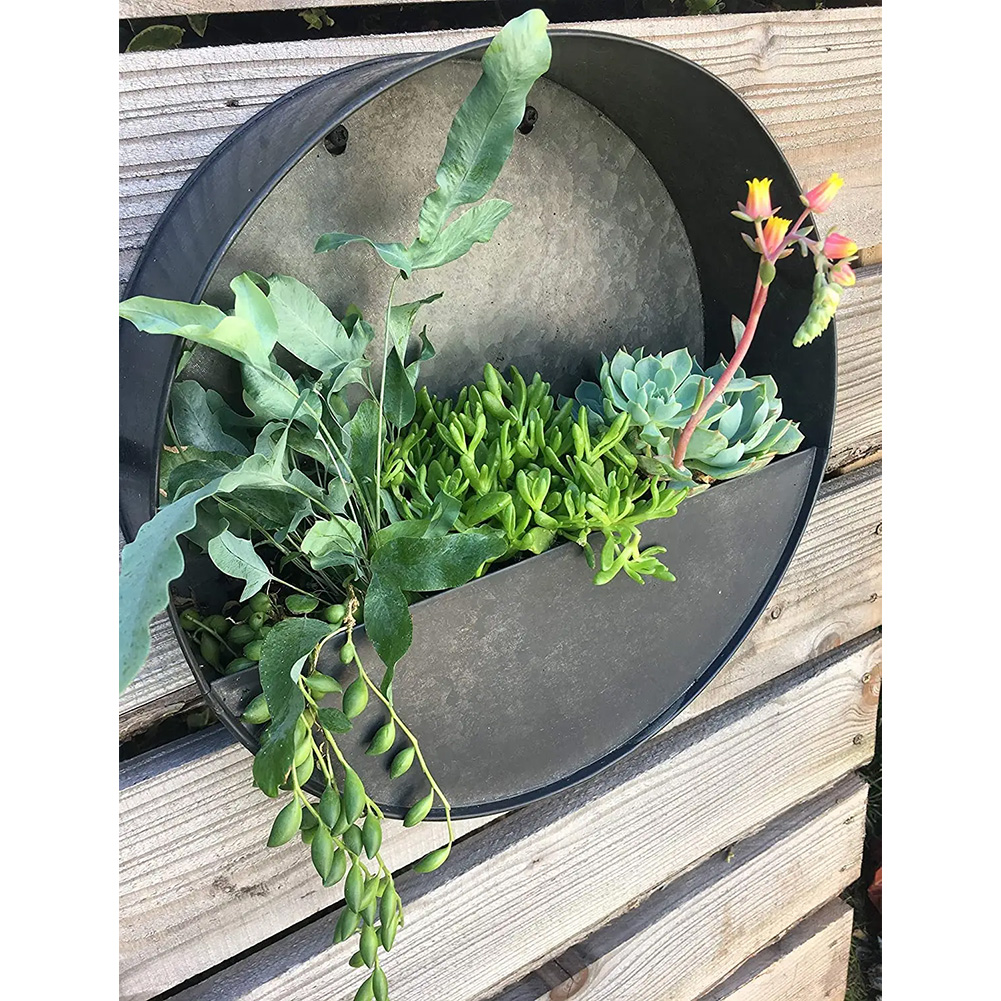 NEW! Modern Home Living Wall Zinc Succulent Planter - Wall Mounted Garden Art - Picture 17 of 24