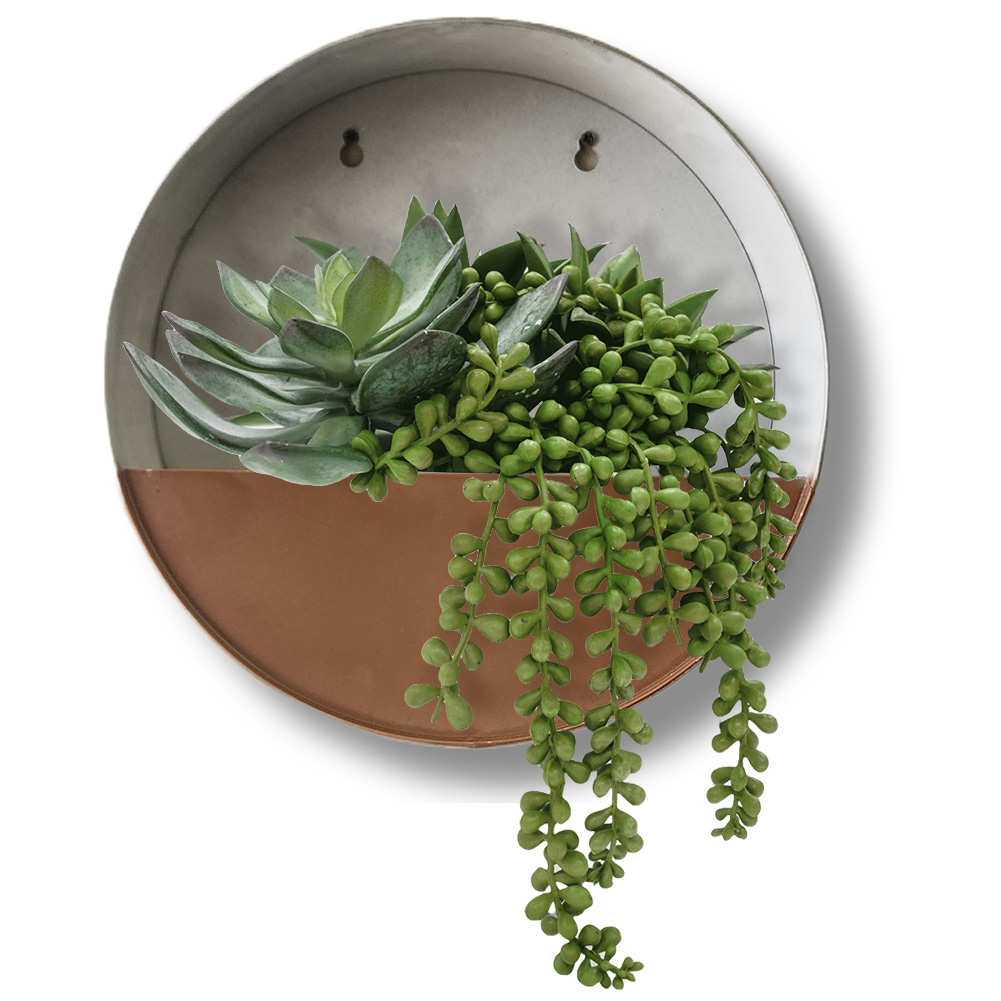 NEW! Modern Home Living Wall Zinc Succulent Planter - Wall Mounted Garden Art - Picture 18 of 24
