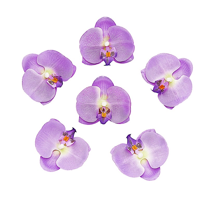 20 pcs 4″ Faux Silk Orchid Flower Heads Wedding Party Events Home Decorations