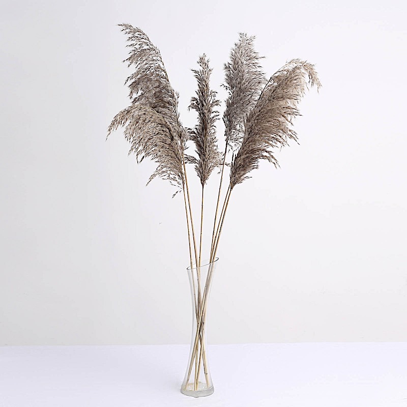 6 Sprays Stems 32″ Natural Pampas Grass Dried Plant Party Events Decorations