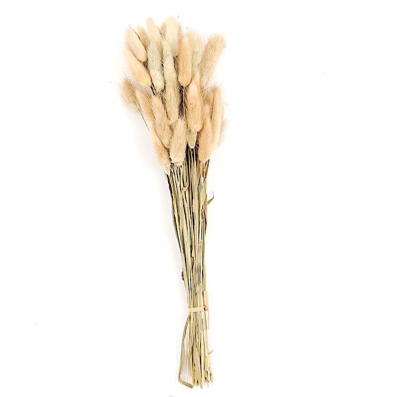 50 Stems 15″ Rabbit Tail Dried Natural Pampas Grass Sprays Party Decorations