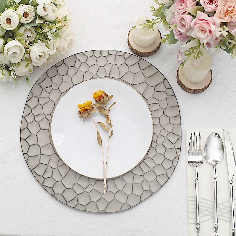 6 Irregular Round 13 in Plastic CHARGER PLATES Animal Pattern Rim Party Events