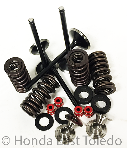 KibbleWhite Intake and Exhaust Valves w// Spring Kit and Seals CRF 450R 2007-2008