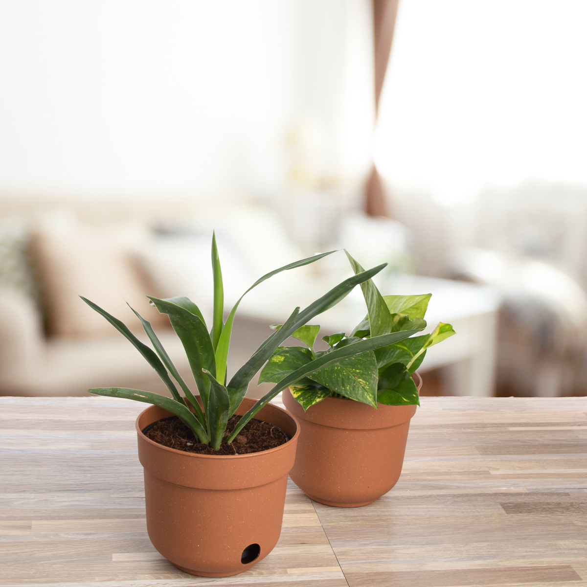 6pk Self Watering 6.5” Planters Indoor Outdoor Plastic