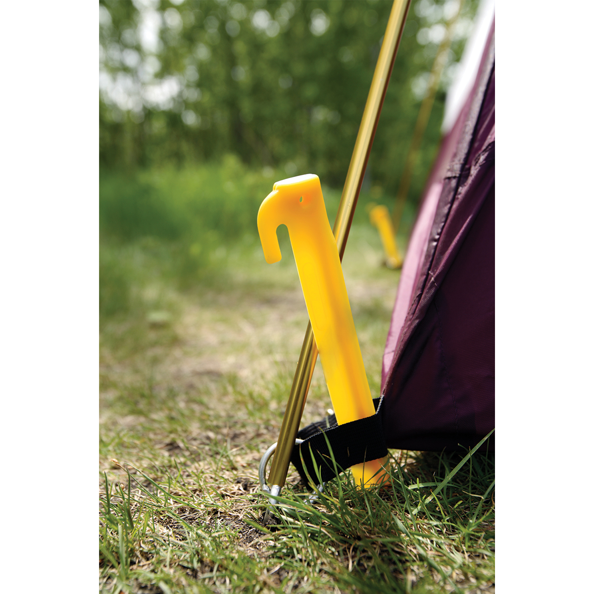 Coghlan's Rugged ABS Plastic 6" Tent Pegs (6 Pack), Survival Camping