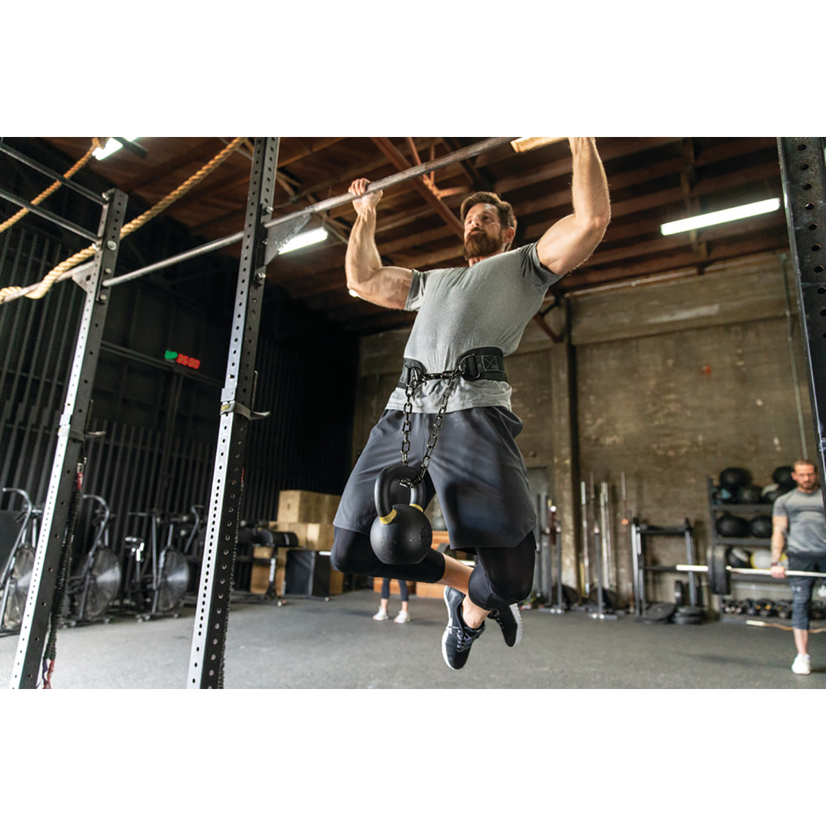 harbinger polypro dip belt