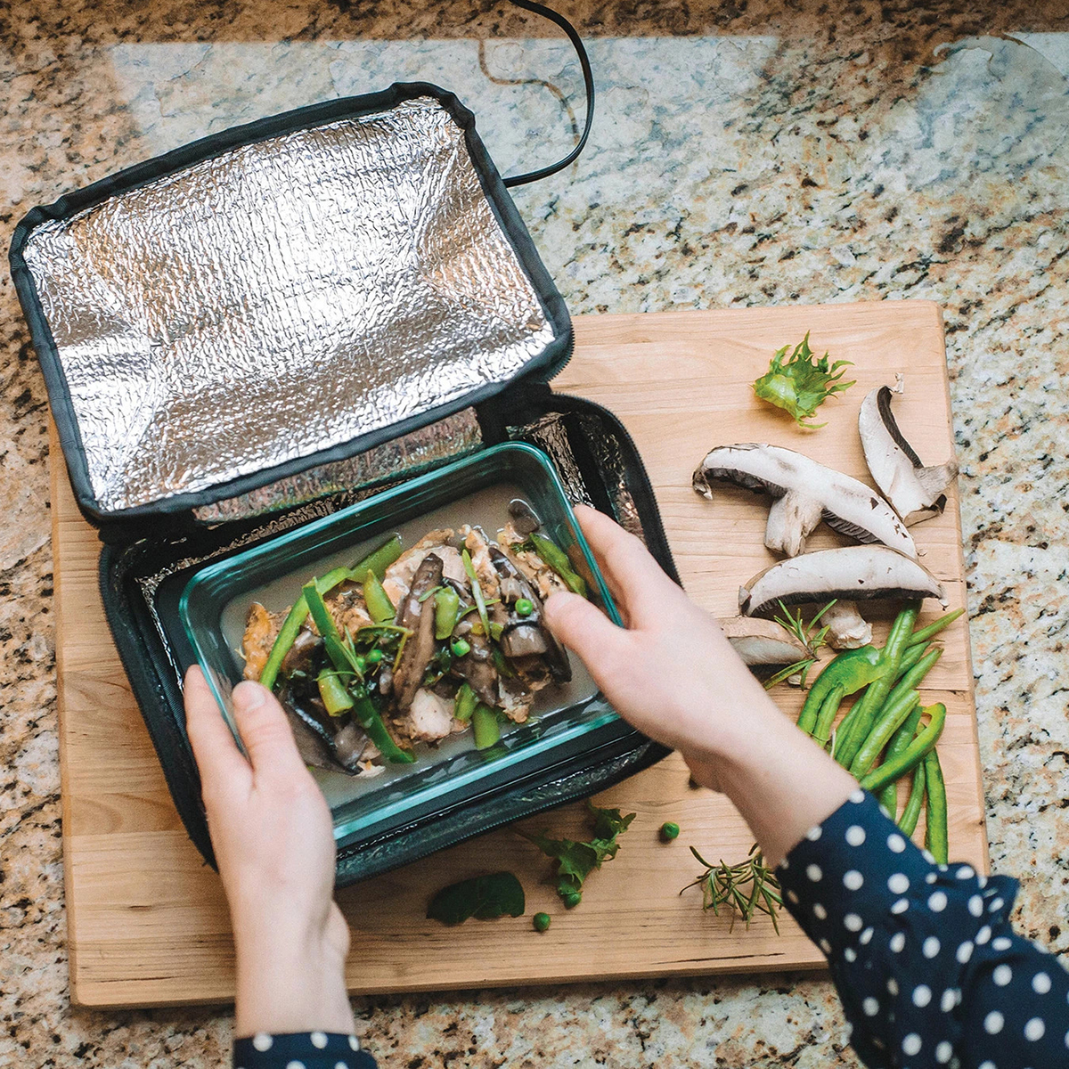 hot logic mini oven