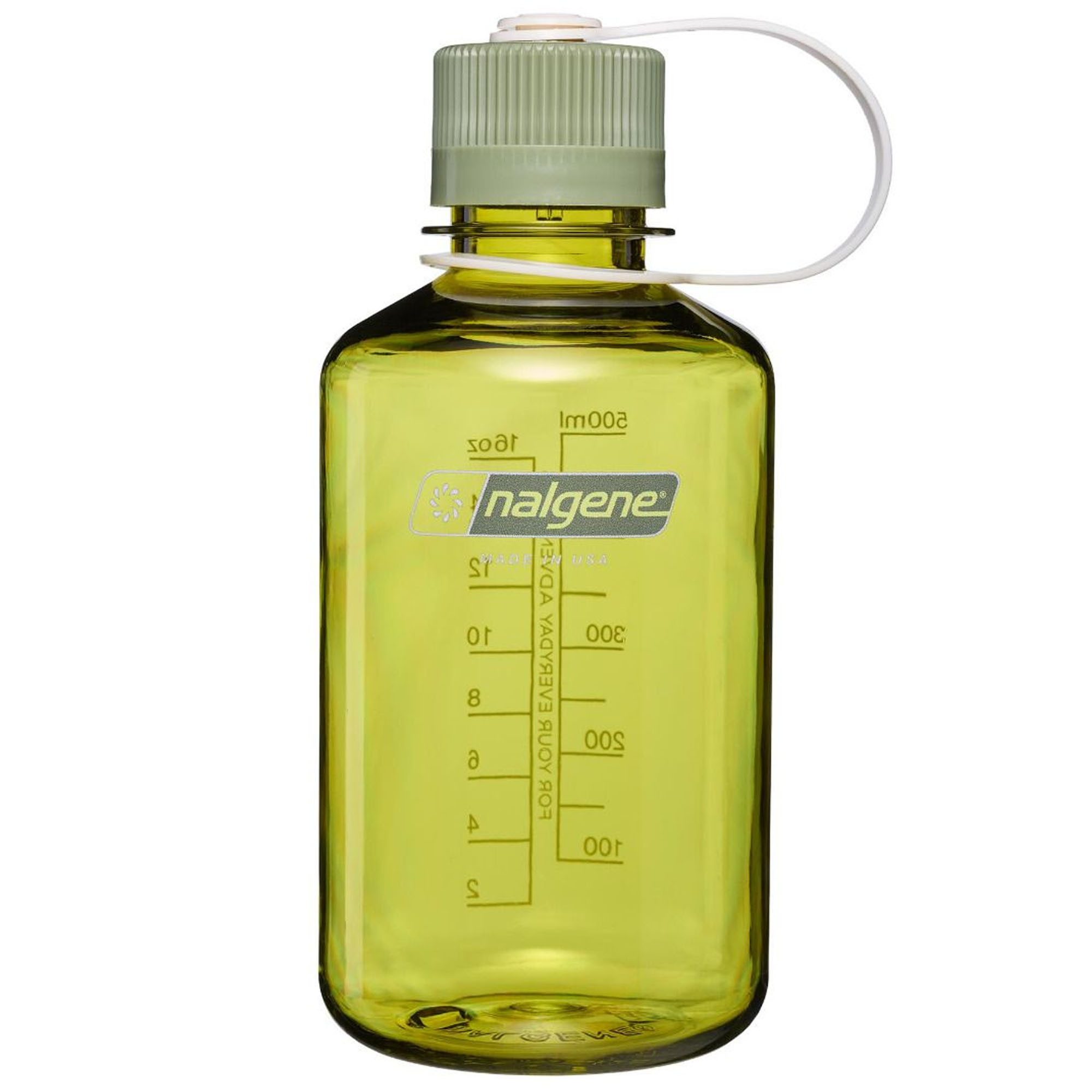 Endive/Oil Green